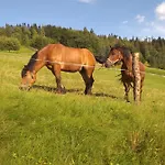 Hébergement de vacances Milkowska *