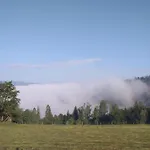 Milkowska *