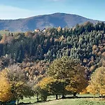 Milkowska *