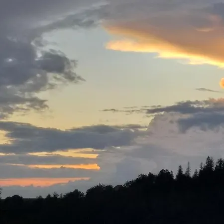 Milkowska * Wisla
