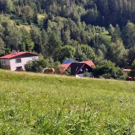 Milkowska * Wisla