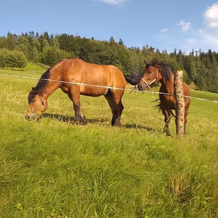 Semesterbostad Milkowska *