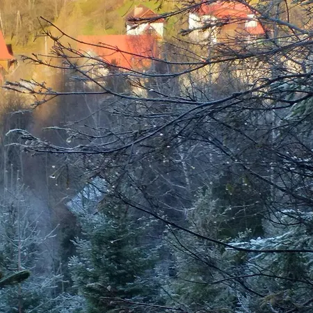 Milkowska بيت للعطل فيسلا