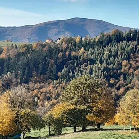Milkowska *