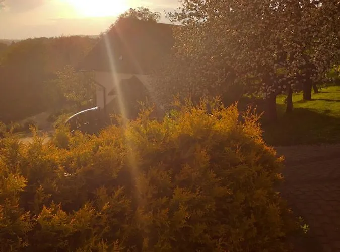 Milkowska فيسلا