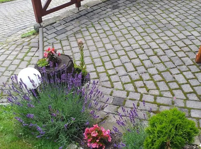 Milkowska * فيسلا