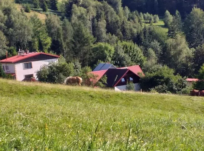 Milkowska * فيسلا