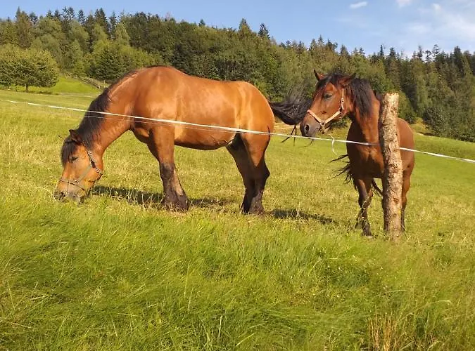 Prázdninový dům Milkowska *