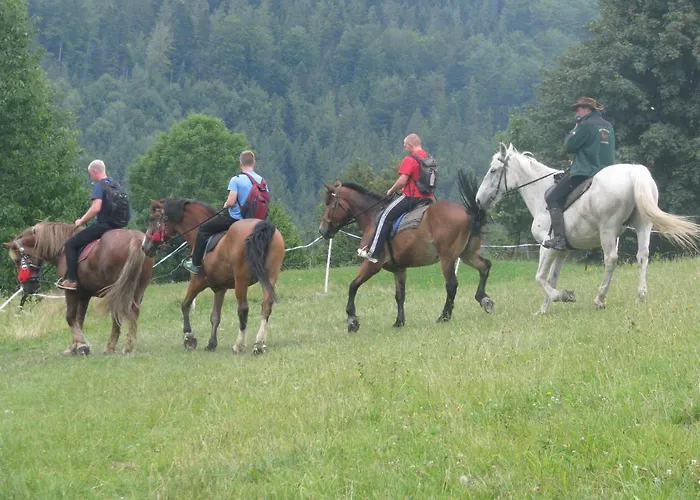 Milkowska بيت للعطل فيسلا